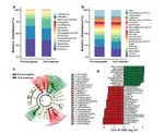 Our paper about oral microbiota in pregenant women is published in Journal of Oral Microbiology.