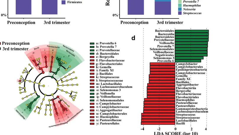 Our paper about oral microbiota in pregenant women is published in Journal of Oral Microbiology.