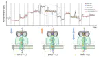 Estimating RNA modifications using Nanopore data