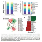 Profile of the oral microbiota from preconception to the third trimester of pregnancy and its association with oral hygiene practices